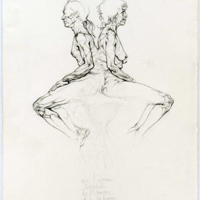 14 Impossibles Fusions