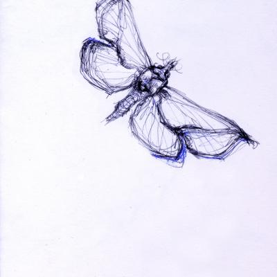 22 A Jamais Poudre Douce