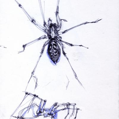 23 Delicate Reine Pale De Nos Emersions