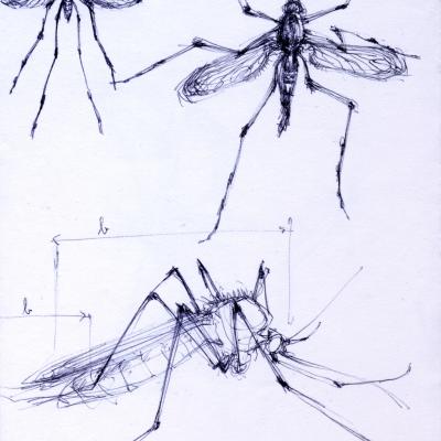 24 Je Boirai Le Coeur De Ton Corps